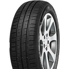 205/55 R16 MINERVA F209
